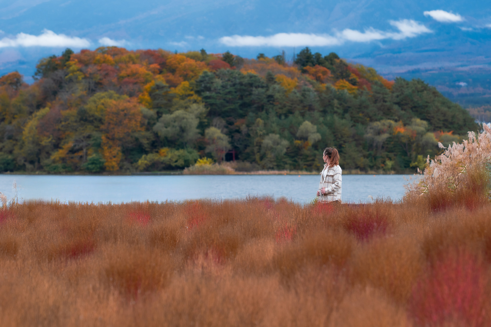 vue sur le Mont Fuji dans les nuages du parc Oishi