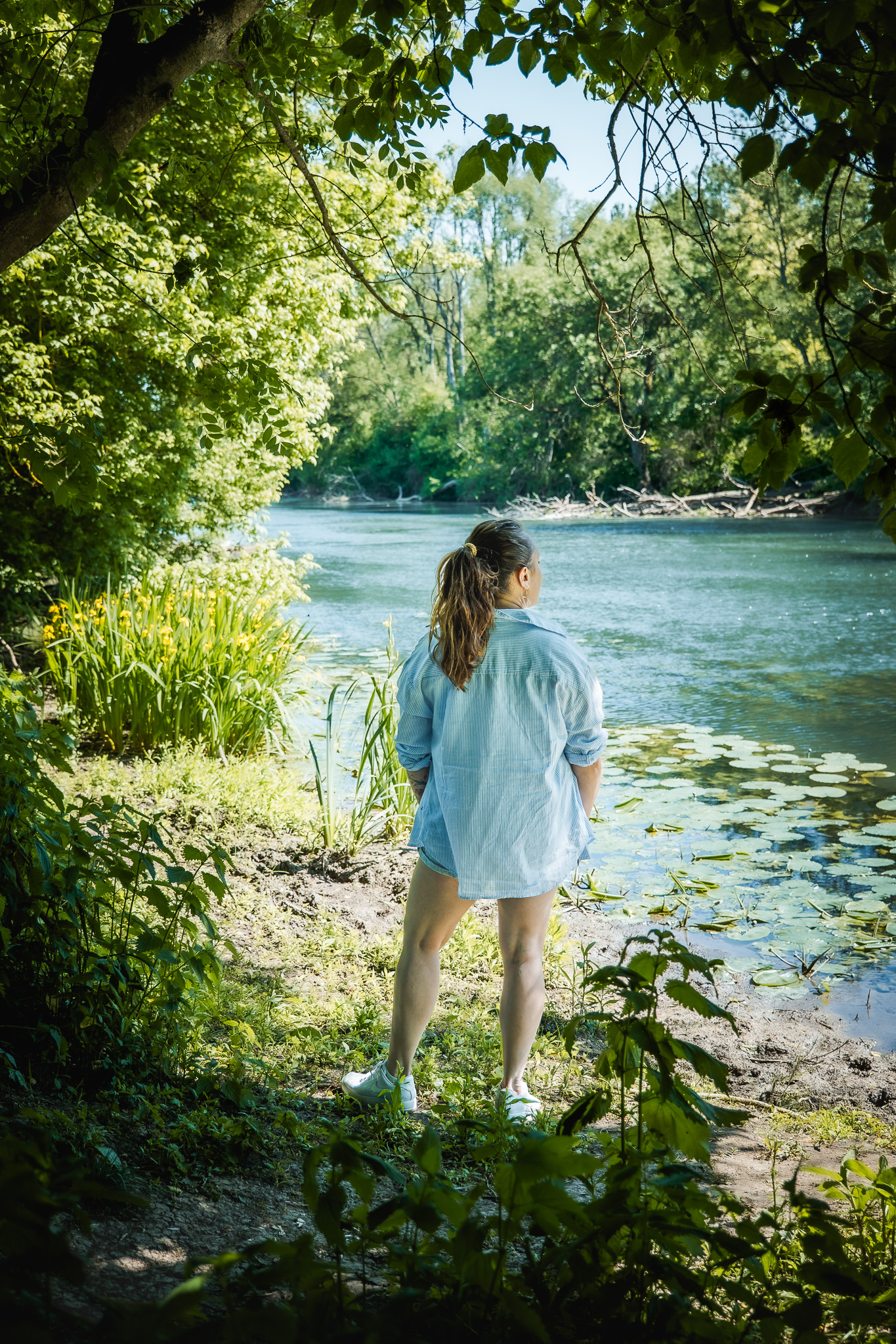 rivière de la plaine des Sorques