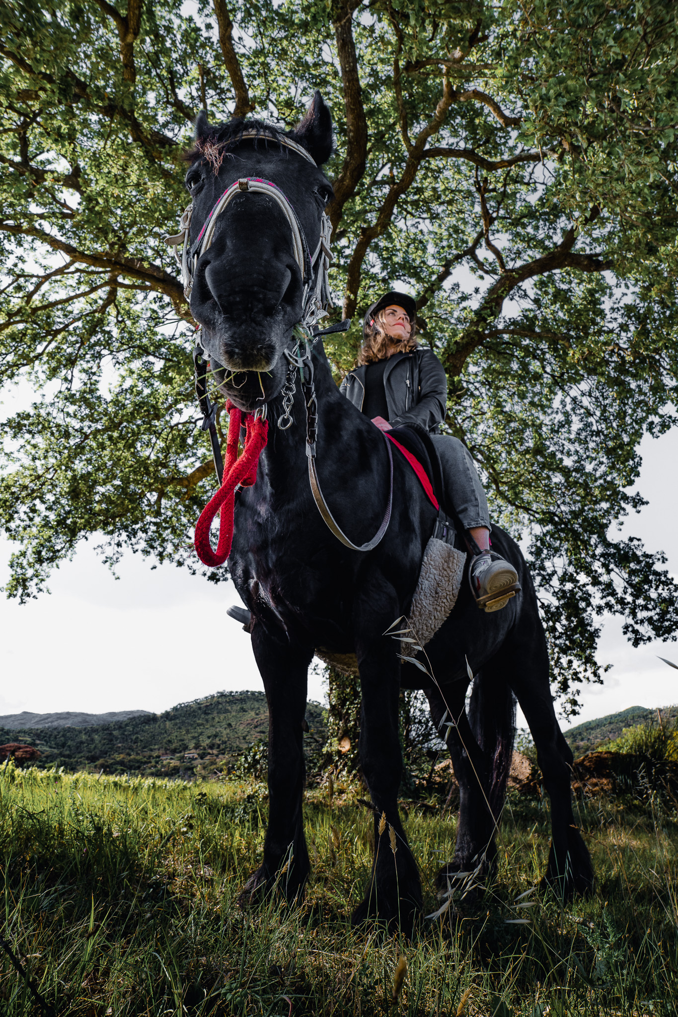 Balade à cheval en été à Grimaud en Provence