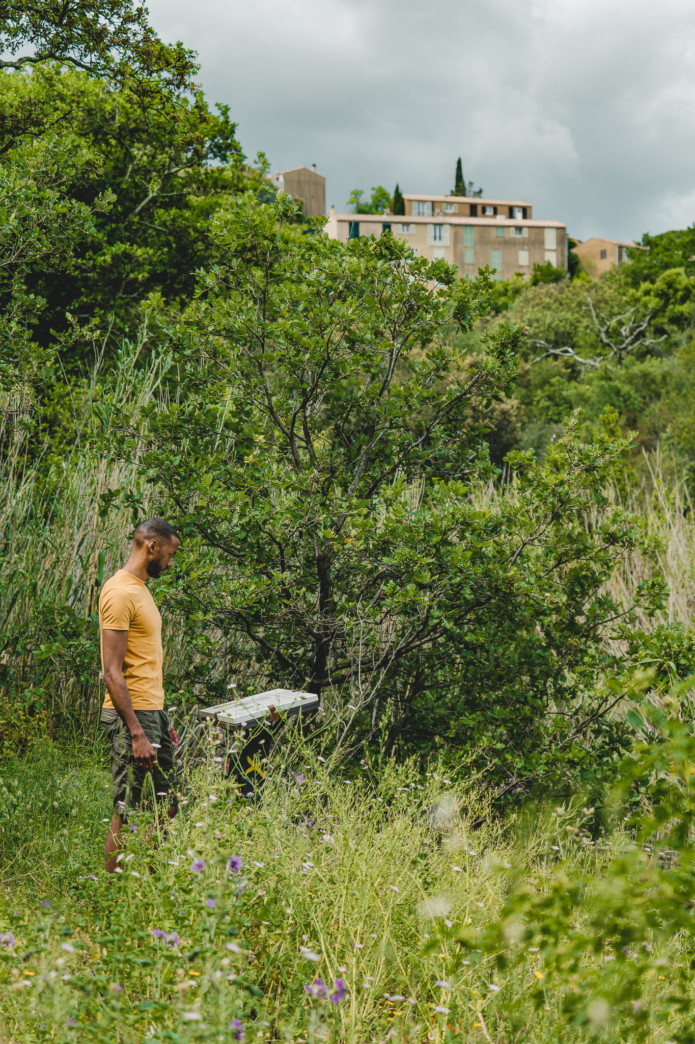 Randonnée du Pont des Fées à Grimaud