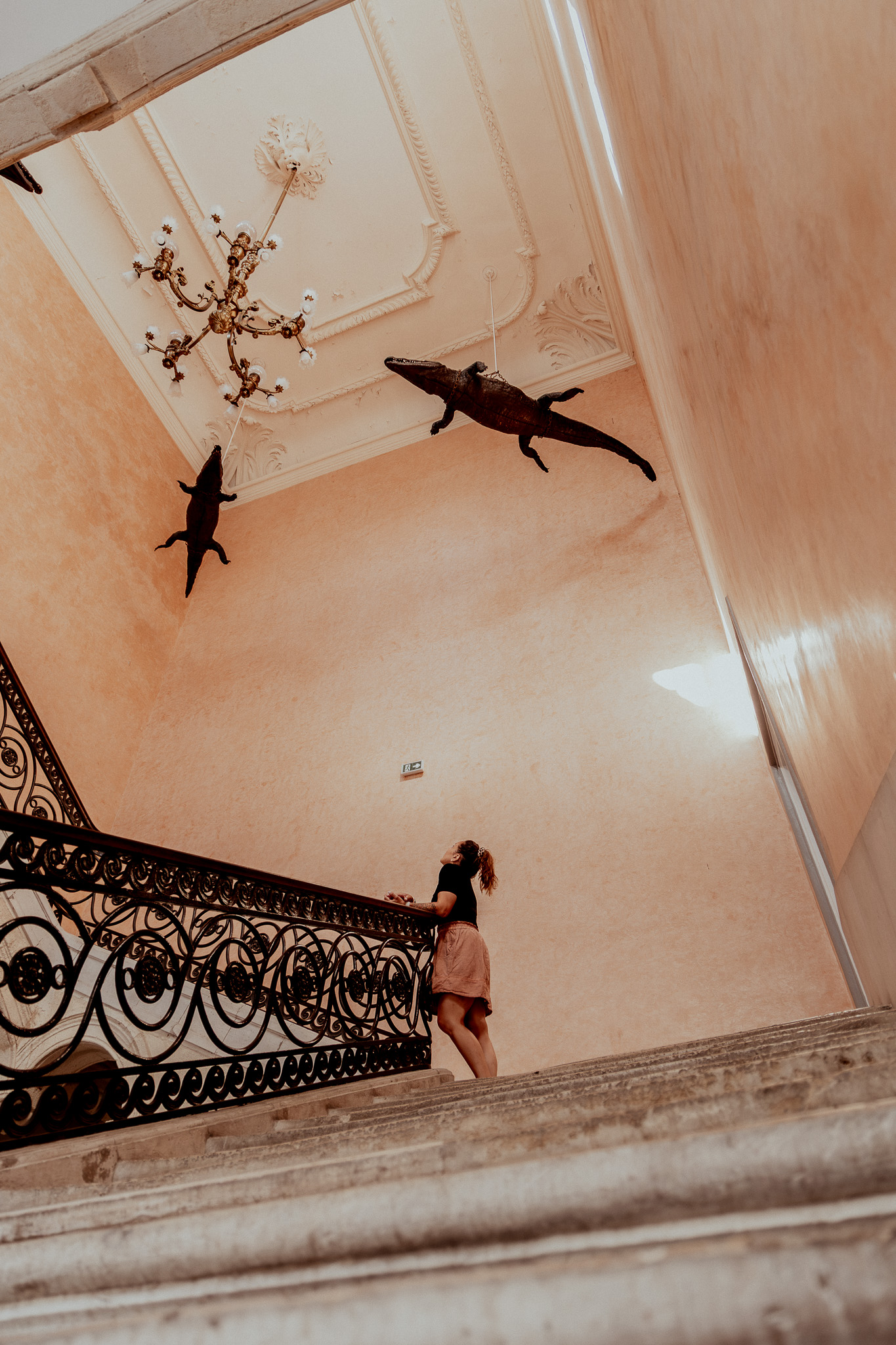 crocodiles au plafond de l'hôtel de ville de Nîmes