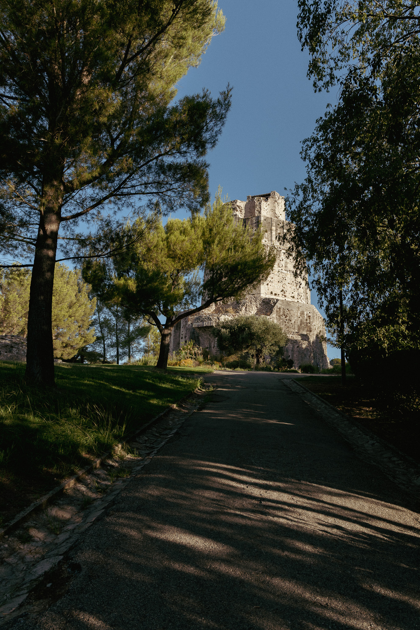 Allée qui mène à la Tour Magne